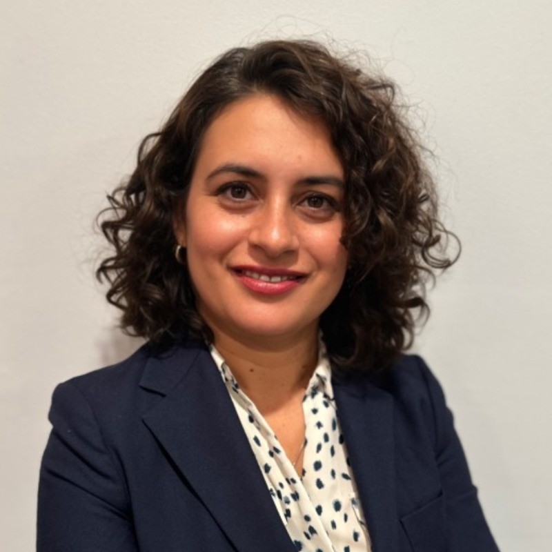 Izge Cengiz Ercan - Valley Bank