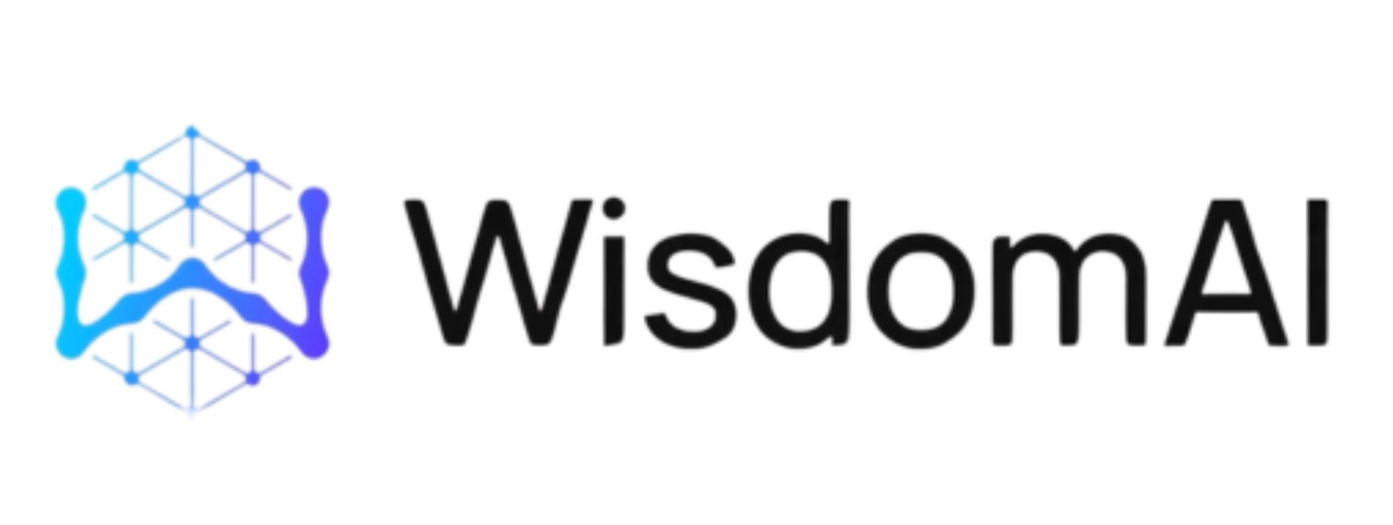 Wisdom AI
